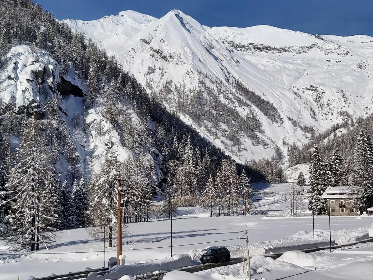 Chalet Rosa Dei Monti Piamprato Exterior foto