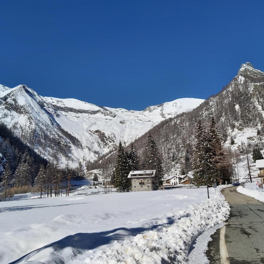 Chalet Rosa Dei Monti Piamprato Exterior foto