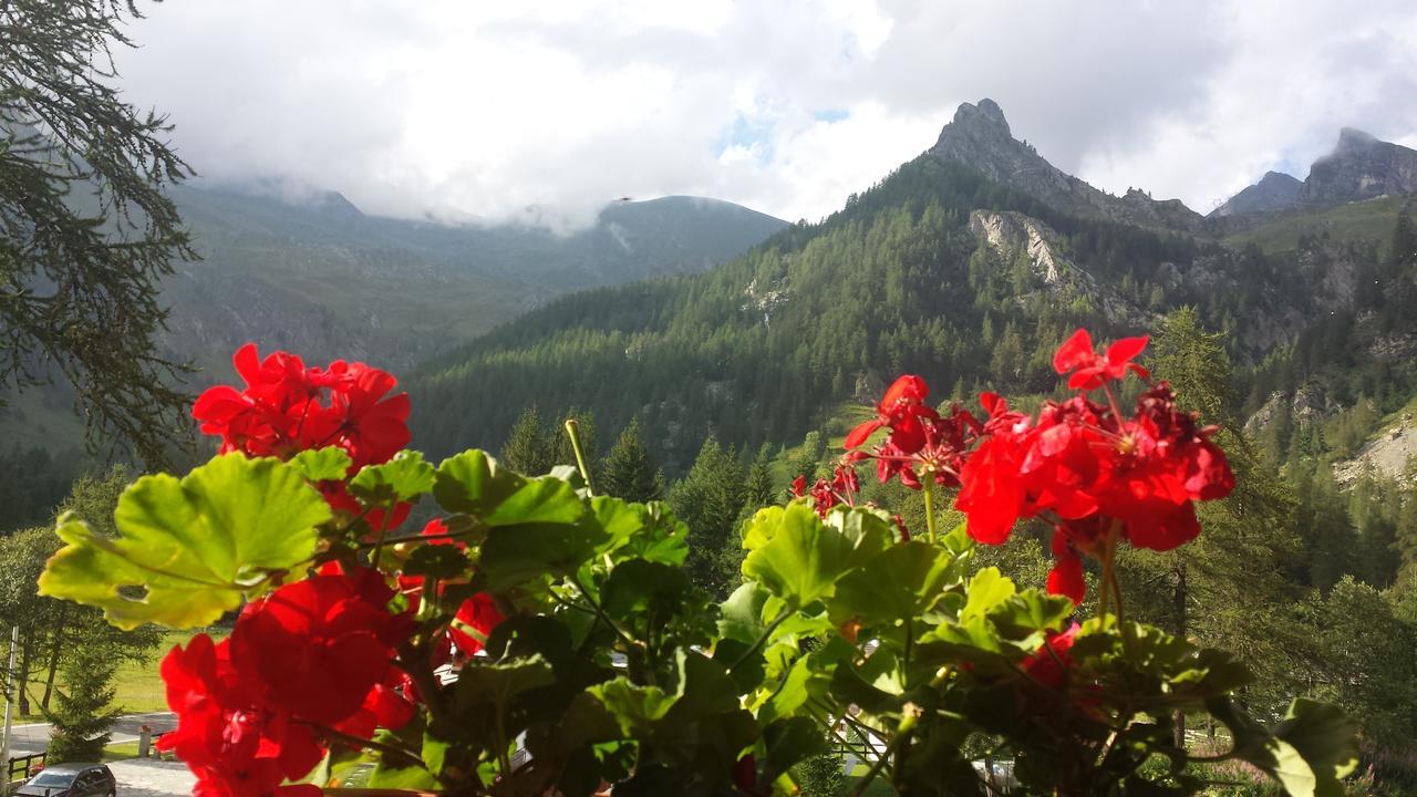 Chalet Rosa Dei Monti Piamprato Exterior foto